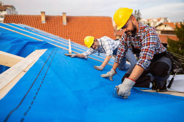 Best Gutter Replacement  in Marshallville, GA