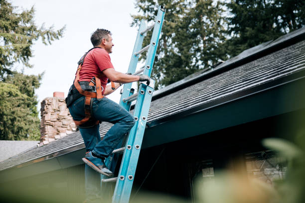 Best Asphalt Shingles Roofing  in Marshallville, GA